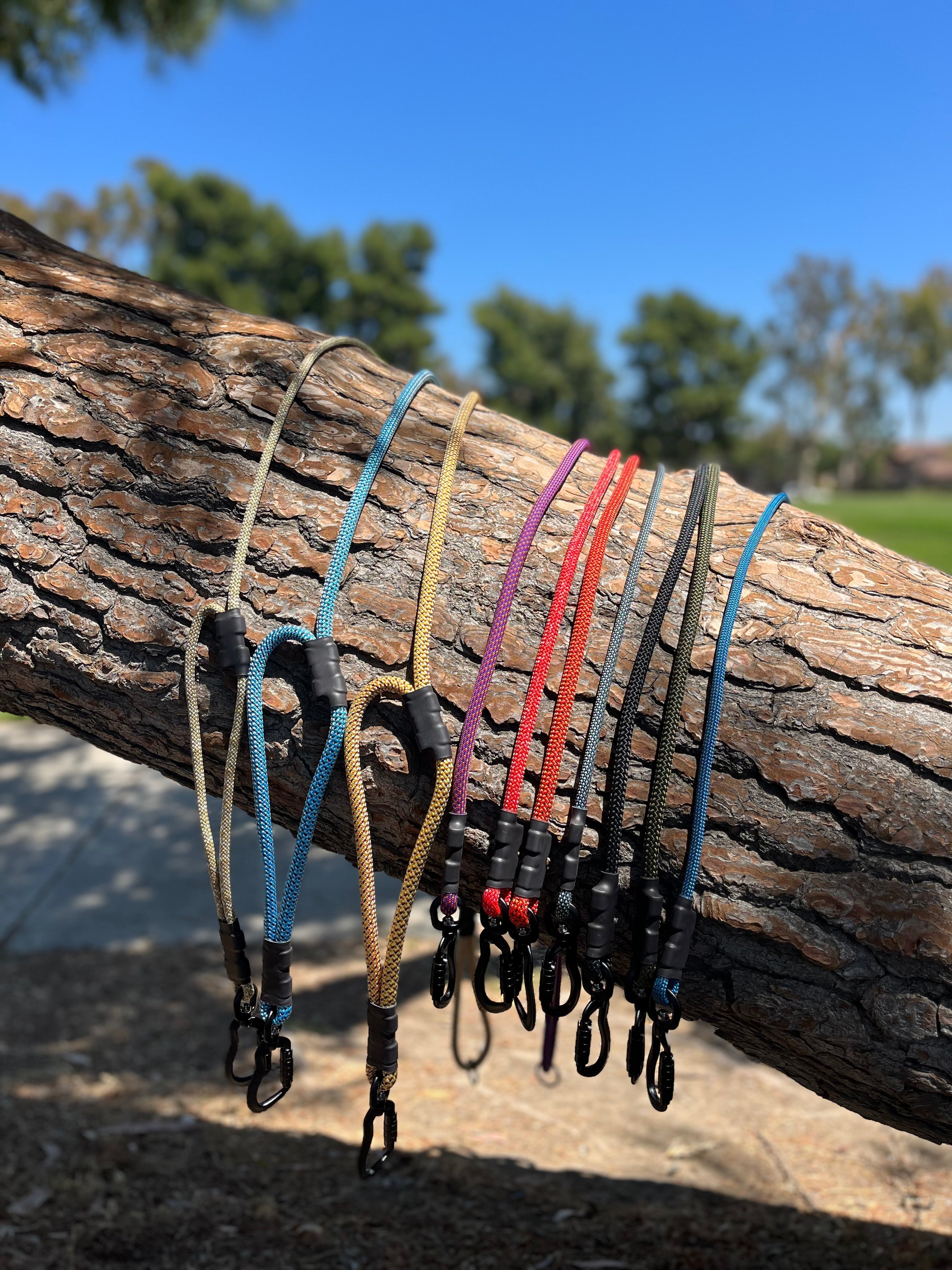 Collars, Harnesses & Leashes