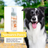 Divine Canine Daily Foaming Paw Sanitizer