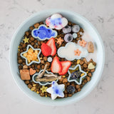 EmeryPets Star + Cloud Slow Feeder Bowl