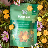 Plant Dog Pumpkin and Carrot Ginger Biscuit (Anti-Inflammatory)