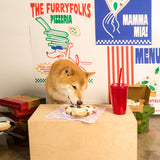 The FurryFolks Pizza Nosework Toy