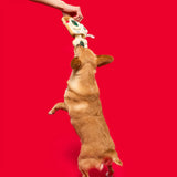 The FurryFolks Pizza Nosework Toy