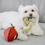 Lambwolf Collective Apple/ Enrichment Toy Set// Snuffle Toy