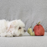 Lambwolf Collective Apple/ Enrichment Toy Set// Snuffle Toy