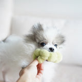 Lambwolf Collective Apple/ Enrichment Toy Set// Snuffle Toy