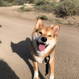 Litto Howler Milo Grab Tag