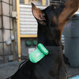 Springland Dog Poop Bag Dispenser Holder + Roll Bundle