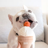 Lambwolf Collective Ice Cream Pop// Enrichment Toy // Snuffle Toy