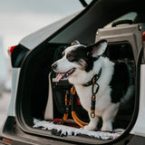 Litto Howler Milo Grab Tag