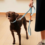 Approved by Fritz - The Fritz Collar