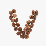 Wild N Fresh Treats Dehydrated Venison Bites