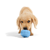 Woof - The Pupsicle