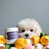 Fera Pets Calming Support for Dogs and Cats