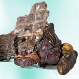 Cosmicos Pet Bakery Chicken Liver & Hearts Snackies | Treats For Cats and Dogs
