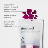 dogged Freeze Dried Dragon Fruit Topper