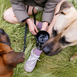 Springland Pets Dog Travel Water Bottle - Flip 20 oz