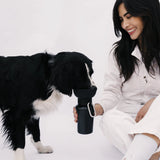 Springland Pets Dog Travel Water Bottle - Flip 20 oz