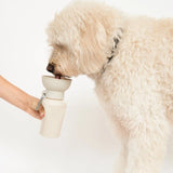 Springland Pets Dog Travel Water Bottle - Flip 20 oz
