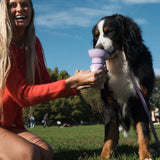 Springland Pets Dog Travel Water Bottle - Flip 20 oz