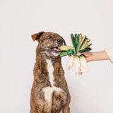 The FurryFolks Green Onion Nosework Toy