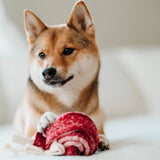 Lambwolf Collective Lollipop//Enrichment Dog Toy