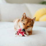 Lambwolf Collective Lollipop//Enrichment Dog Toy