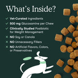 Fera Pets Hip + Joint Support for Dogs