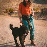 Litto Howler Noctis Traffic Leash