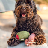 Lambwolf Collective Olive + Salami//Enrichment Squeaky Dog Toy