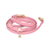 Shop Sunny Tails 4-in-1 Convertible Hands Free Cloud Dog Leash