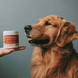 Fera Pets USDA Organic Probiotics with Prebiotics Powder for Dogs & Cats