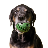 Woof - The Pupsicle
