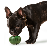 Woof - The Pupsicle