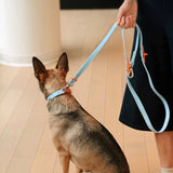 Approved by Fritz - The Fritz Collar