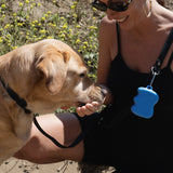 Springland Pets Silicone Dog Treat Dispenser