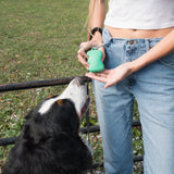 Springland Pets Silicone Dog Treat Dispenser