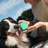 Springland Pets Silicone Dog Treat Dispenser