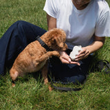 Springland Pets Silicone Dog Treat Dispenser