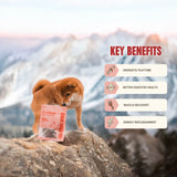 Ryoken Instinct Everyday Minis Training Treats - Rabbit