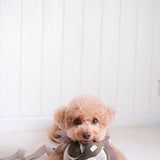 Lambwolf Collective MONTI Crinkly + Squeaky Snuffle Ball