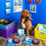 The FurryFolks Vinyl Nosework Toy
