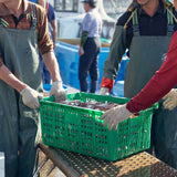 Eastsea Brother Freeze Dried Flatfish
