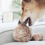 Lambwolf Collective Squirrel Pop Enrichment Dog Toy