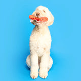 The FurryFolks Hot Doggie Nosework Toy
