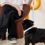 Approved by Fritz - The Fritz Leash