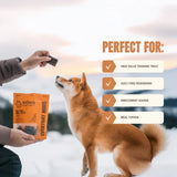 Ryōken Instinct Everyday Minis Training Treats - Quail