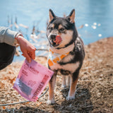Ryōken Instinct Everyday Minis Training Treats - Lamb