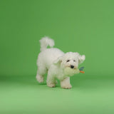 CHEWFFON Fruit Plush Squeaky Dog Toy Set