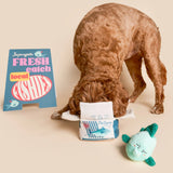 The FurryFolks Fish Express Nosework Toy