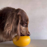 Lunoji Pebble: All-in-One Dog Toy | Slow Feeder + Treat Dispenser
